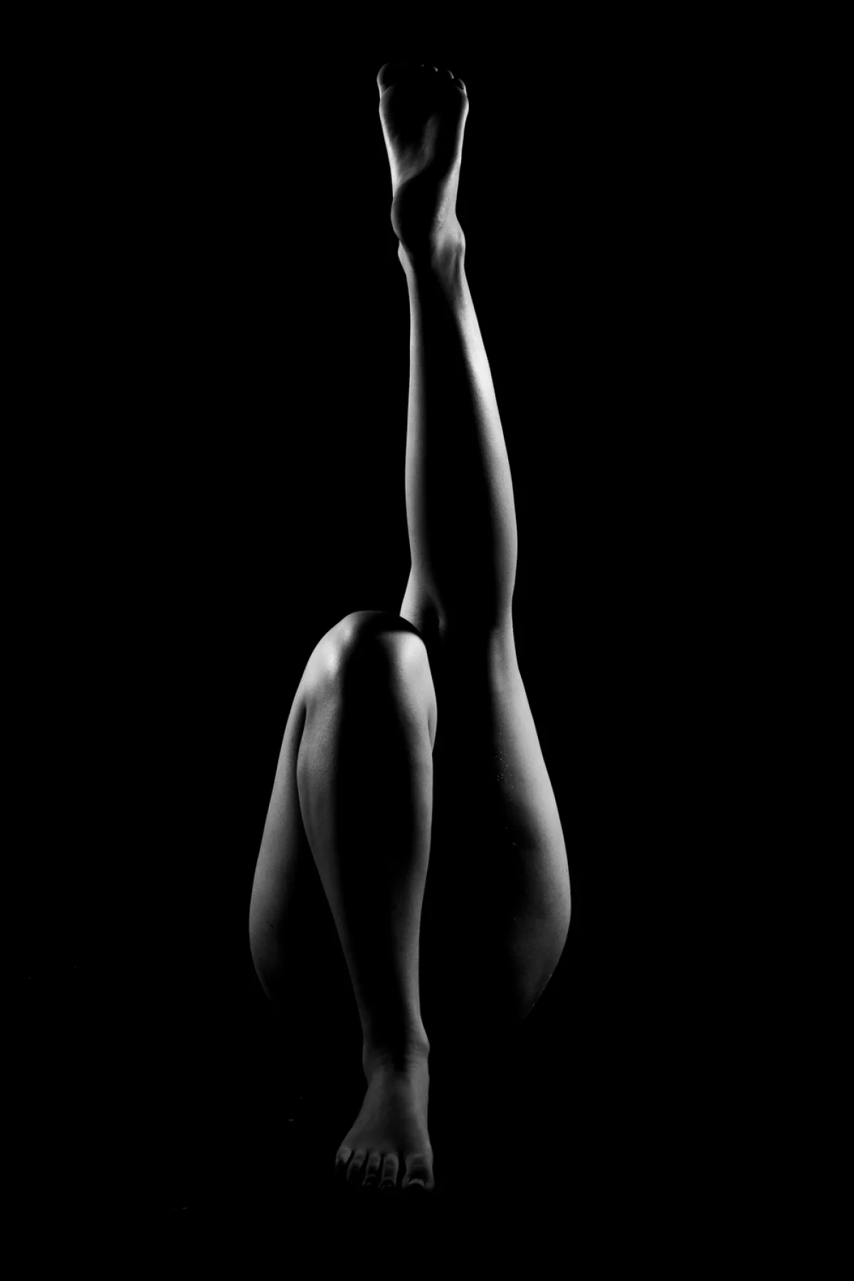 Eliška Drábiková_Silhouette